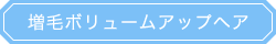 増毛ボリュームアップヘア